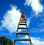 the sky is the limit